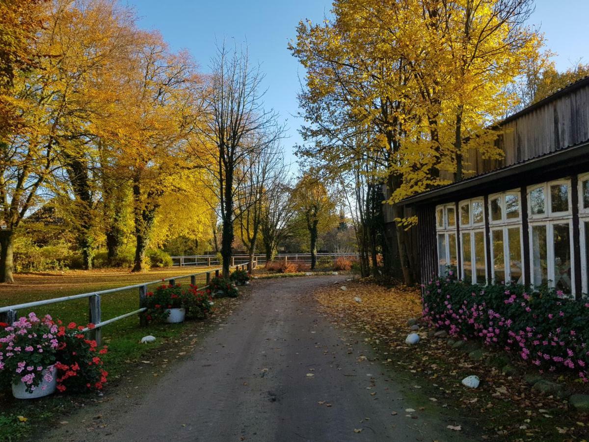 Neu renovierte Ferienwohnung  Oetzen Buitenkant foto