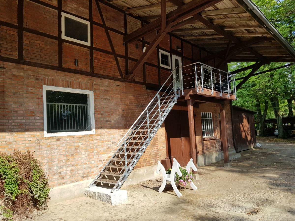Neu renovierte Ferienwohnung  Oetzen Buitenkant foto